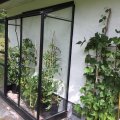Asiakaskuva Musta kehys Plutolle 1,3 m²